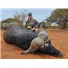 Image 1 : 10-day South Africa Cape Buffalo Hunt for Two Hunters and Two Non-hunters