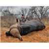 Image 2 : 10-day South Africa Cape Buffalo Hunt for Two Hunters and Two Non-hunters