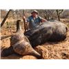 Image 3 : 10-day South Africa Cape Buffalo Hunt for Two Hunters and Two Non-hunters