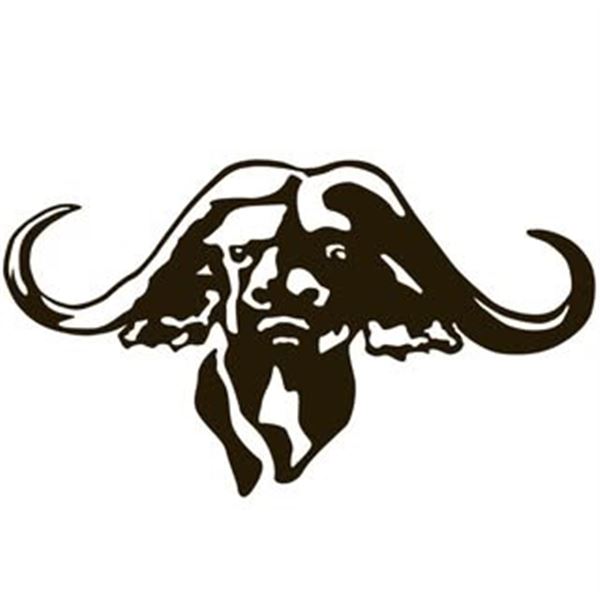 3-day Texas Wild Boar Hunt for Six Hunters