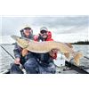 Image 2 : 4-day Manitoba Trophy Pike, Lake Trout and Walleye Fishing Trip for Two Anglers