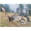 Image 1 : 7-day/6-night Spain Fallow Deer and Roe Deer hunt for Two Hunters and Two Non-Hunters