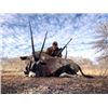 Image 2 : 7-day Botswana Kudu, Oryx, Zebra and Steenbok hunt for Two Hunters