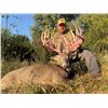 Image 1 : 3-day Indiana Northeastern White-tailed Deer Hunt for One Hunter and One Non-Hunter