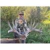 Image 2 : 3-day Indiana Northeastern White-tailed Deer Hunt for One Hunter and One Non-Hunter