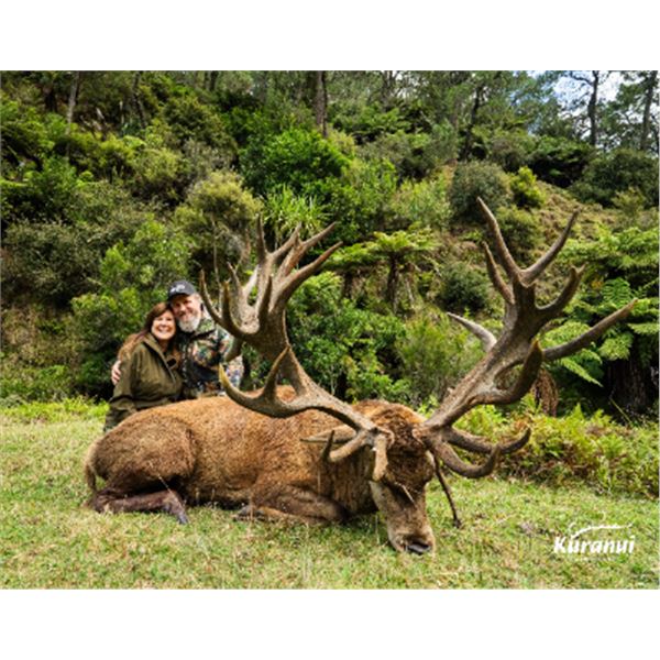 5-day/4-night New Zealand Red Stag (up to 400 SCI) Hunt for One Hunter and One Non-Hunter