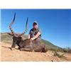 Image 1 : 10-day South Africa Plains Game Hunt for Two Hunter and Two Non-hunters