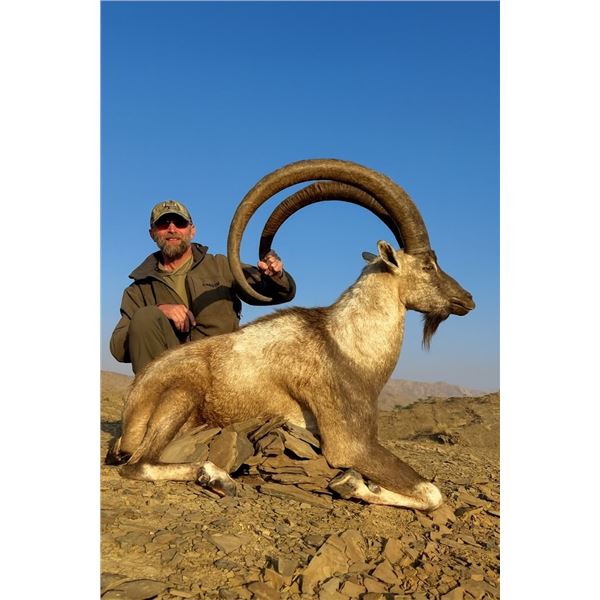 Pakistan Hunter 4-day Pakistan Sindh Ibex Hunt for One Hunter