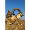 Image 1 : 4-day Pakistan Sindh Ibex Hunt for One Hunter