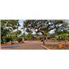 Image 3 : 9-day South Africa Plains Game Safari for One Hunter and One Non-Hunter