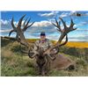 Image 1 : 5-day/4-night New Zealand Gold Medal Red Stag Hunt for One Hunter and One Non-hunter