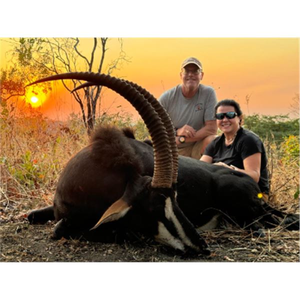 8-day Mozambique Roosevelt Sable Hunt for One Hunter and One Non-hunter