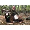 Image 4 : 5-day Macedonia European Mouflons Hunt for Two Hunters