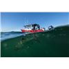 Image 3 : 4-day British Columbia Salmon, Lingcod and Halibut Fishing Trip for Two Anglers