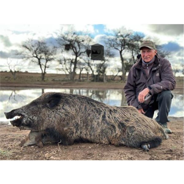 5-day Argentina Wild Boar Hunt and Golden Dorado Fishing Trip for Four Hunters