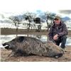 Image 1 : 5-day Argentina Wild Boar Hunt and Golden Dorado Fishing Trip for Four Hunters