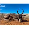 Image 1 : 7-day South Africa Plains Game Hunt for Two Hunters and Two Non-Hunters
