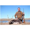 Image 2 : 5-day/6-night Argentina Blackbuck Hunt for Four Hunters and Four Non-Hunters