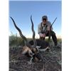 Image 3 : 5-day/6-night Argentina Blackbuck Hunt for Four Hunters and Four Non-Hunters
