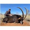 Image 1 : 12-day South African Plains Game Bow Hunt with $6,000 Towards Trophy Fees for Two Hunters and Two No