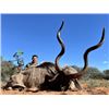 Image 2 : 12-day South African Plains Game Bow Hunt with $6,000 Towards Trophy Fees for Two Hunters and Two No
