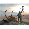 Image 3 : 12-day South African Plains Game Bow Hunt with $6,000 Towards Trophy Fees for Two Hunters and Two No