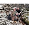 Image 1 : 5-day (3-day hunt) France, French Mainland Corsican Mouflon Hunt Plus Sightseeing for One Hunter and