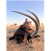 Image 2 : 5-day South Africa Sable (up to 40inches) Hunt for Three Hunters