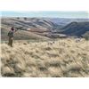 Image 1 : 3-nights/2 full days Oregon Upland Wingshooting for Two Hunters