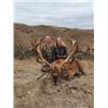 Image 1 : 5-day New Zealand Red Stag Hunt for Two hunters
