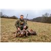 Image 1 : 5-day Slovakia Red Stag, Fallow Deer and Mouflon Sheep Hunt for One Hunter One Non-hunter