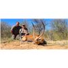 Image 2 : 7-day South African Plains Game Hunt for One Hunter and One Non-hunter