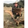Image 2 : 5-day Spain Hunt with the Choice of One Red Deer, Mouflon or Fallow Deer Hunt for Two Hunter and Two