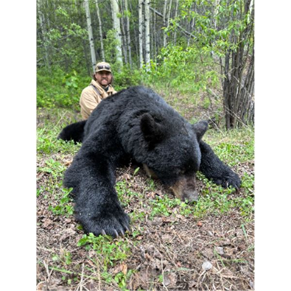 6-day British Columbia Black Bear Hunt for One