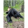 Image 1 : 6-day British Columbia Black Bear Hunt for One
