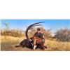 Image 1 : 10-day South African Archery Safari with $6,000 Towards Trophy Fees for One Hunter and One Non-Hunte