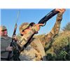 Image 1 : 4-day Argentina High Volume Dove Shooting and Bonus Black buck Trophy Hunt (1 trophy) for Four Hunte