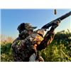 Image 3 : 4-day Argentina High Volume Dove Shooting and Bonus Black buck Trophy Hunt (1 trophy) for Four Hunte