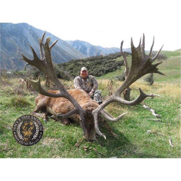 5-day New Zealand Red Stag Hunt (up to 400 SCI) for One Hunter and One Observer