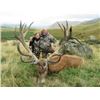 Image 2 : 5-day New Zealand Red Stag Hunt (up to 400 SCI) for One Hunter and One Observer