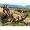 Image 3 : 5-day New Zealand Red Stag Hunt (up to 400 SCI) for One Hunter and One Observer
