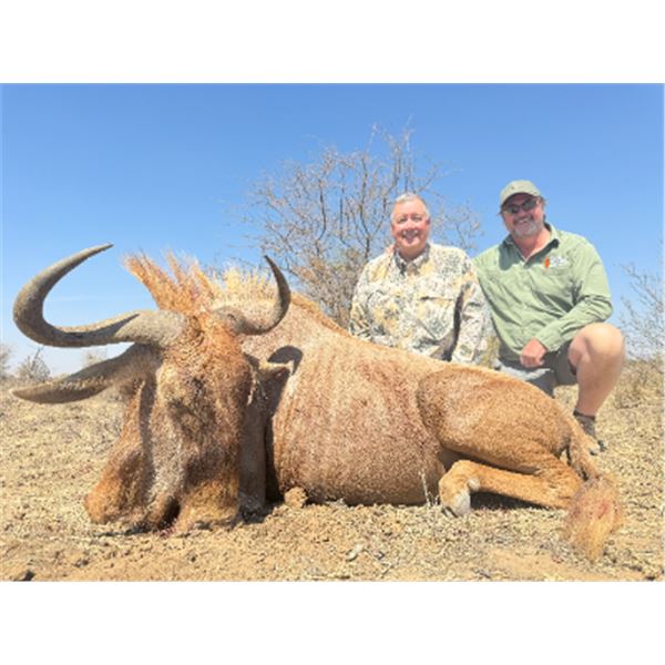 7-day South Africa Plains Game Hunt for Two Hunters