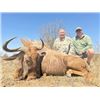 Image 1 : 7-day South Africa Plains Game Hunt for Two Hunters