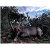 Image 2 : 7-day South Africa Plains Game Hunt for Two Hunters