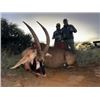 Image 3 : 7-day South Africa Plains Game Hunt for Two Hunters