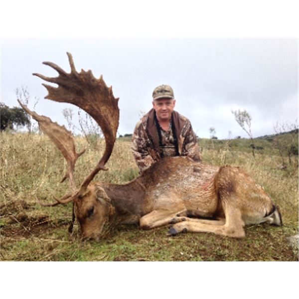 5-day Spain Fallow Deer or Roe Deer Hunt (hunters choice) for One Hunter and One Non-hunter