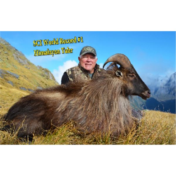 5-day New Zealand Himalayan Tahr Hunt and $500 Credit towards Chamois for Two Hunters