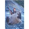 Image 2 : 5-day New Zealand Himalayan Tahr Hunt and $500 Credit towards Chamois for Two Hunters