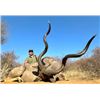 Image 2 : 7-day South Africa Plains Game Safari for One Hunter and One Non-hunter