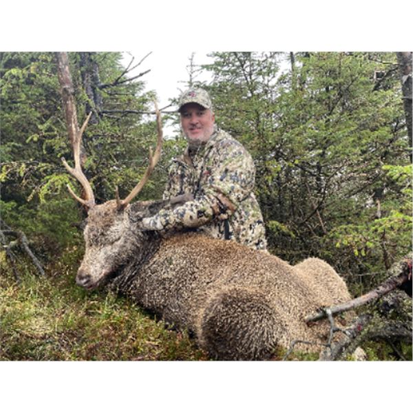 4-day/5-night Ireland Red/Sika Deer (hybrid) and Hybrid Goat Hunt for One Hunter and One Non-hunter